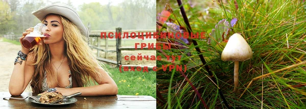 хмурый Майский