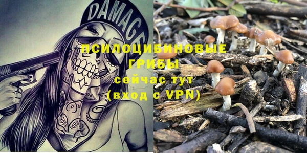 MDMA Premium VHQ Магадан