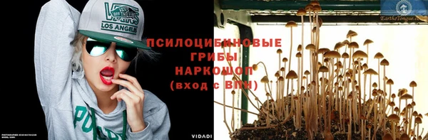 хмурый Майский