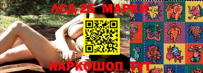 скорость Заволжье