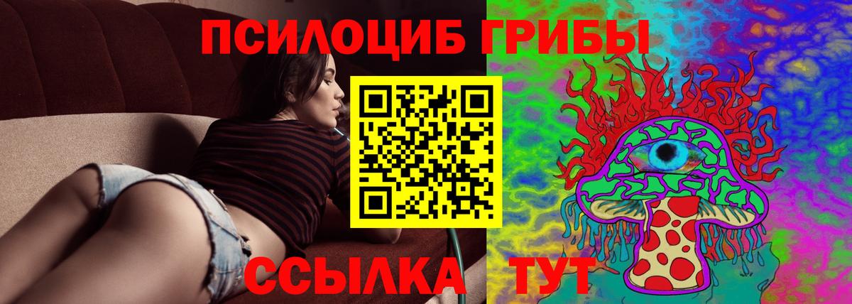 Корсаков  Галлюциногенные грибы мухоморы  Вход с VPN 